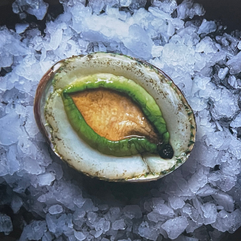 Australian Abalone 澳洲青邊鮑 (Frozen)