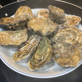 Gillardeau Rock Oysters Special N2 / 48 pcs