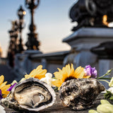 Gillardeau Rock Oysters Special N2 / 12 Pcs per case 12隻原箱